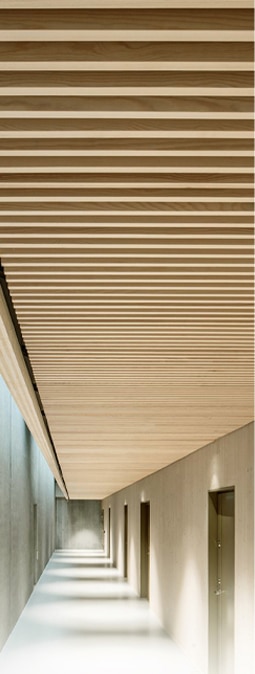 Homepage Photo 2 - new